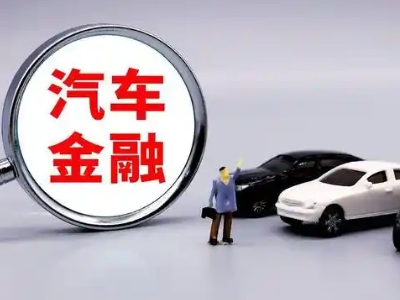 聂荣押车贷款不是本人可以么?